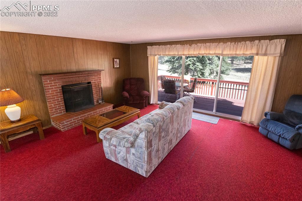 442 Due S Road Florissant, CO 80816 - Photo 26 of 43 a living room with furniture a flat screen tv and a fireplace