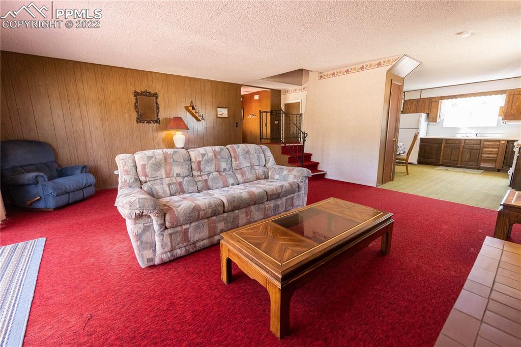 442 Due S Road Florissant, CO 80816 - Photo 27 of 43 a living room with furniture and a wooden floor