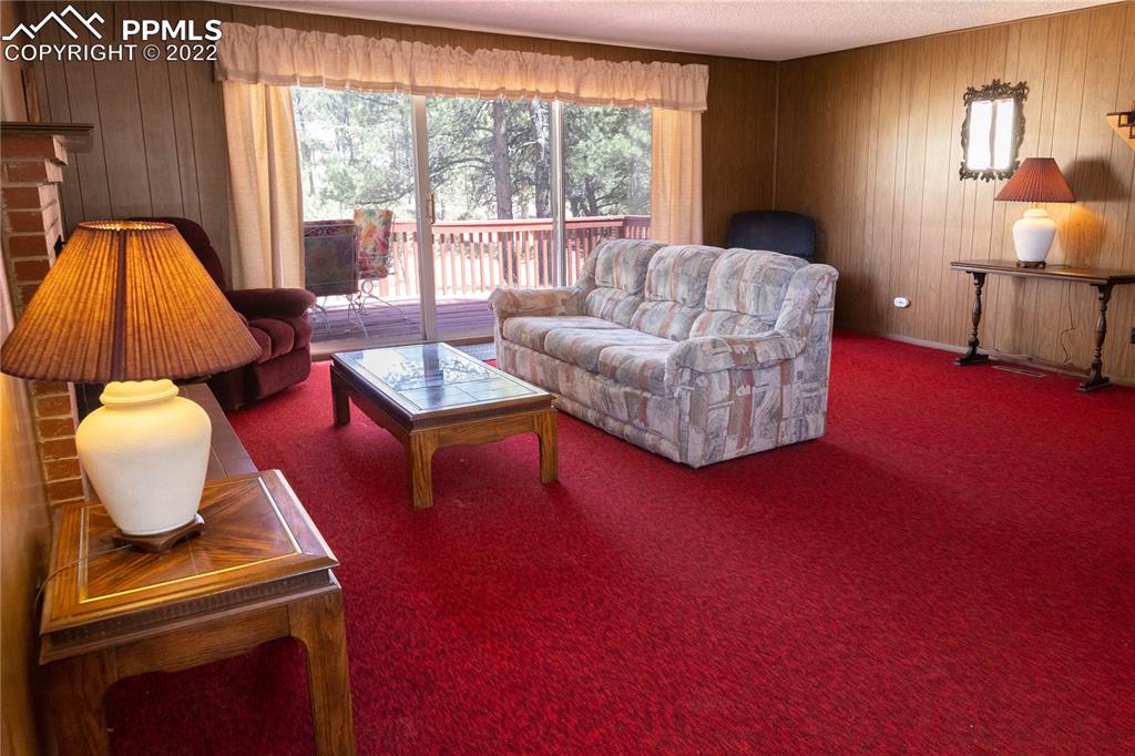 442 Due S Road Florissant, CO 80816 - Photo 31 of 43 a living room with furniture and a window