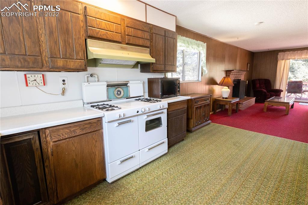 442 Due S Road Florissant, CO 80816 - Photo 33 of 43