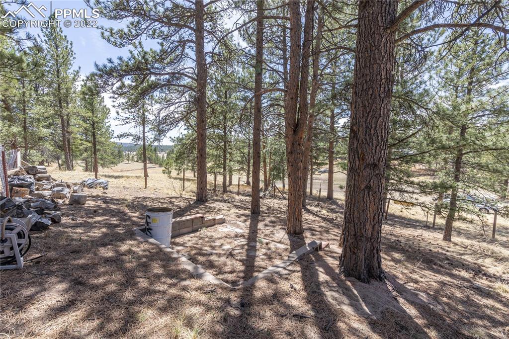 442 Due S Road Florissant, CO 80816 - Photo 36 of 43 a view of a trees and yard in the back