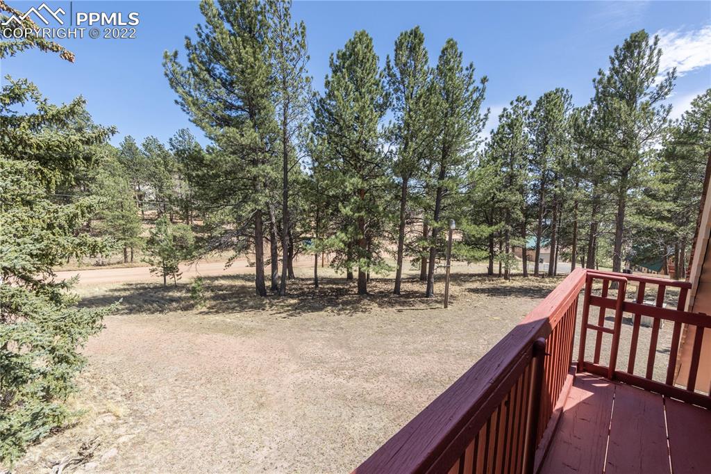 442 Due S Road Florissant, CO 80816 - Photo 39 of 43 a view of a outdoor space with trees