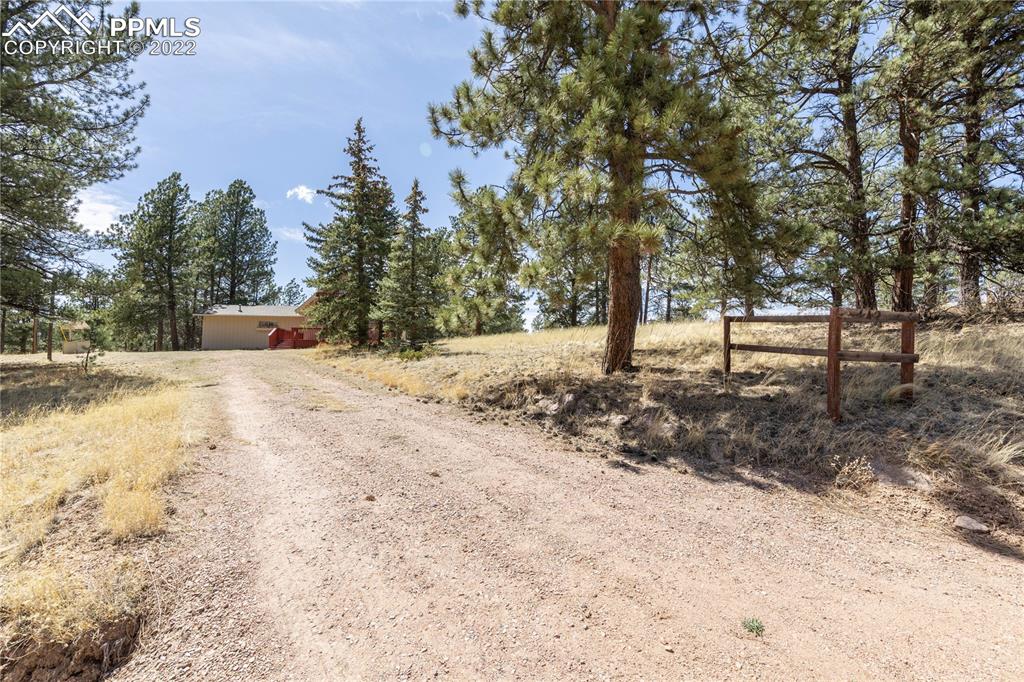 442 Due S Road Florissant, CO 80816 - Photo 43 of 43 a view of a yard with trees