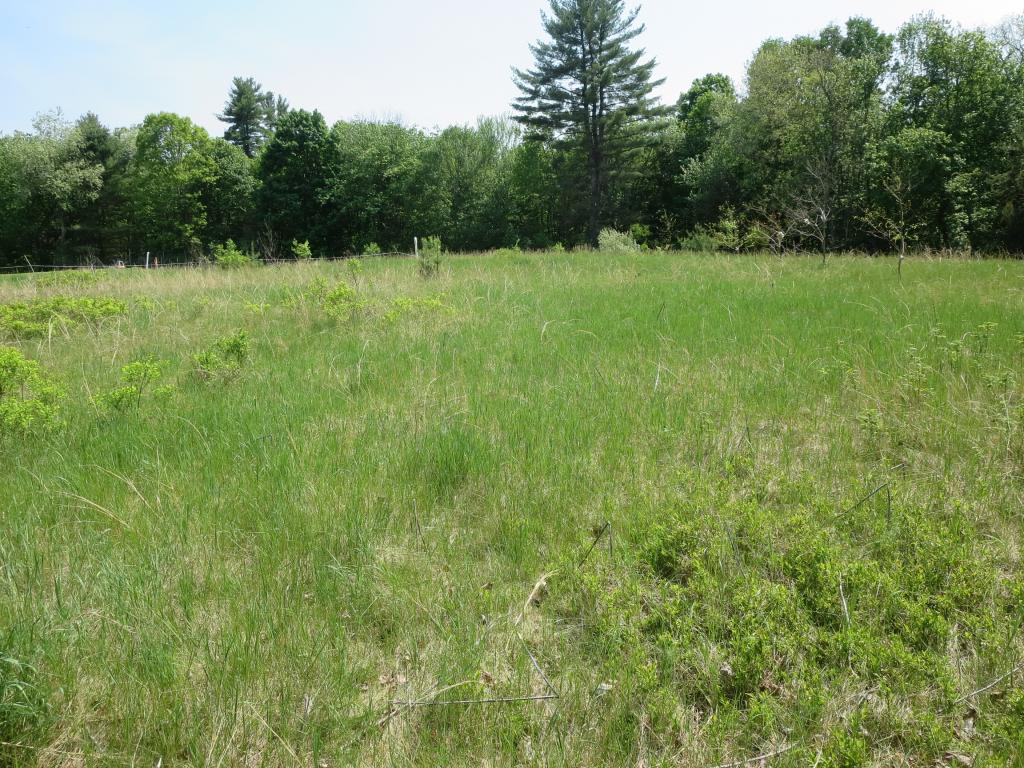 Blackwater Road Dover, NH 03820 - Photo 1 of 1