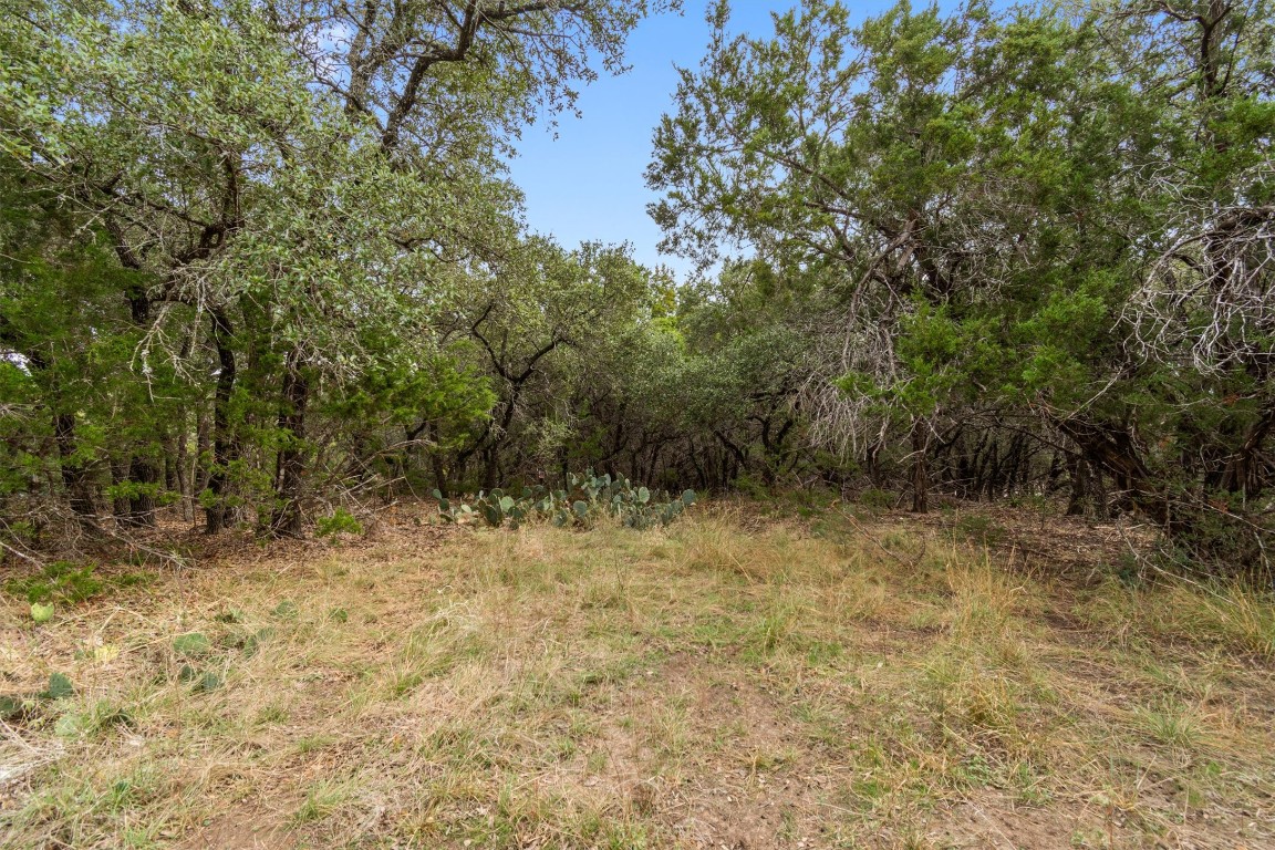 21002 Santa Rosa Avenue Lago Vista, TX 78645 - Photo 5 of 8 a view of a yard with trees