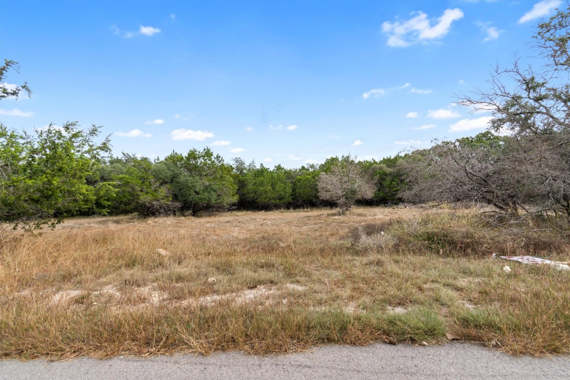 21002 Santa Rosa Avenue Lago Vista, TX 78645 - Photo 8 of 8 a view of a yard