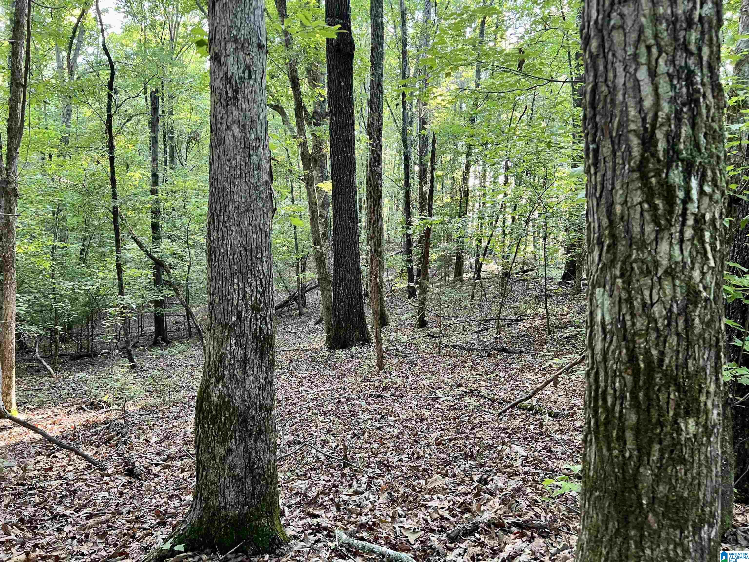 1515 Kelly Ranch Road, Unit 138 ACRES / Talladega, AL 35160 - Photo 26 of 42