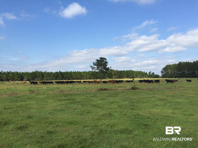 28661 Three Mile Road Elberta, AL 36530 - Photo 15 of 30