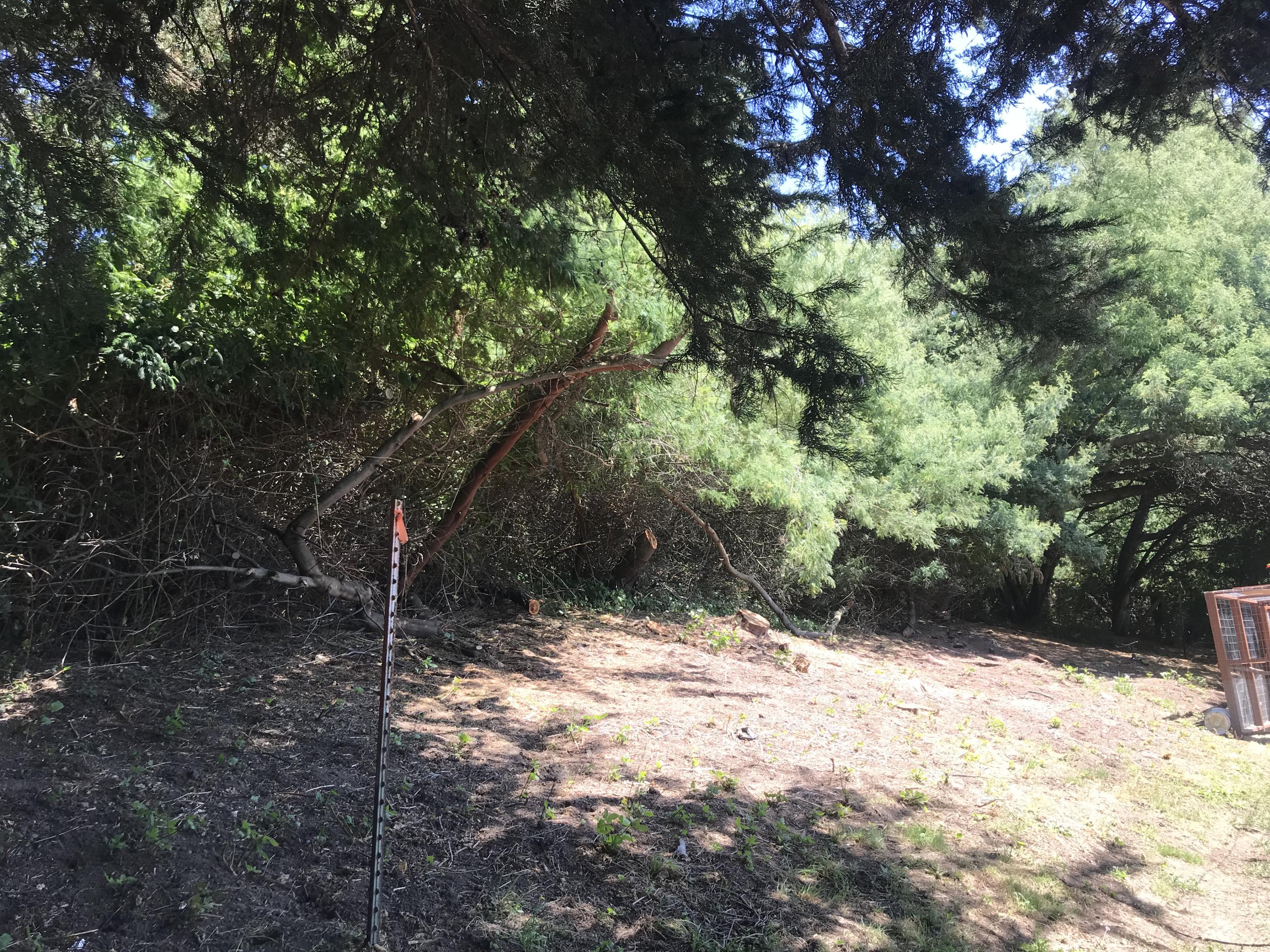0 Rohnerville Road Fortuna, CA 95540 - Photo 5 of 7