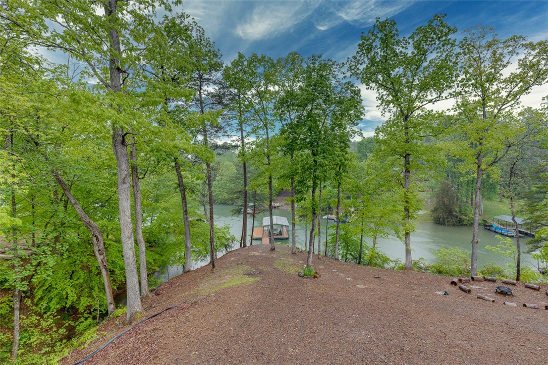 616 Crooked Trace Lane Seneca, SC 29672 - Photo 32 of 39