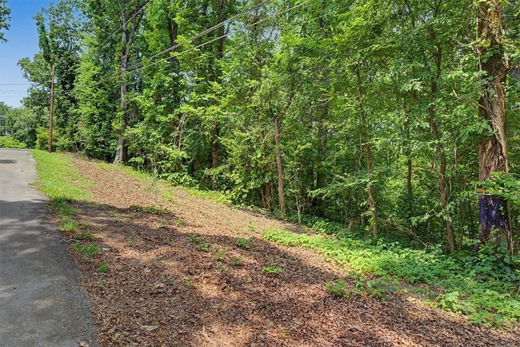 123 Tower Ridge Road Northwest Cartersville, GA 30121 - Photo 58 of 62