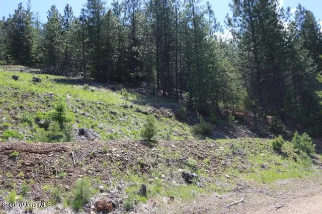 $2,367,000 | 2 St Kellogg Id 83837, Smelterville, ID 83868