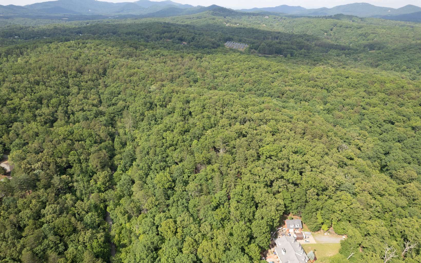 Additional View