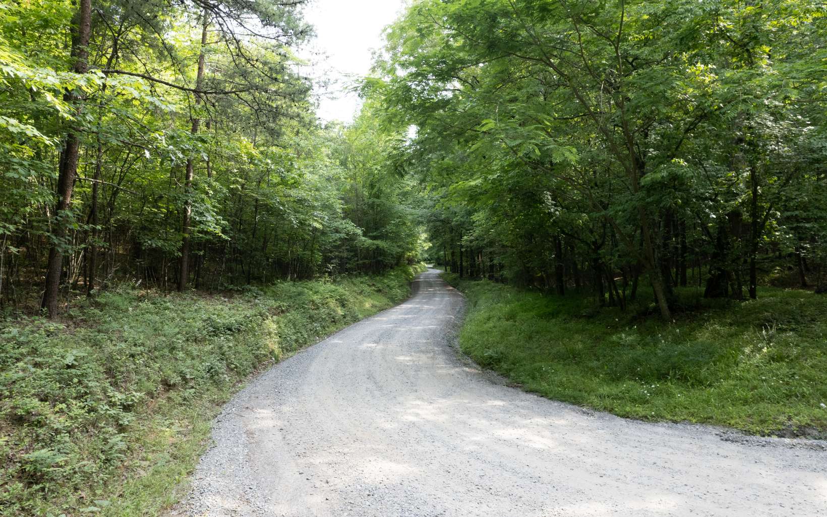 Additional View
