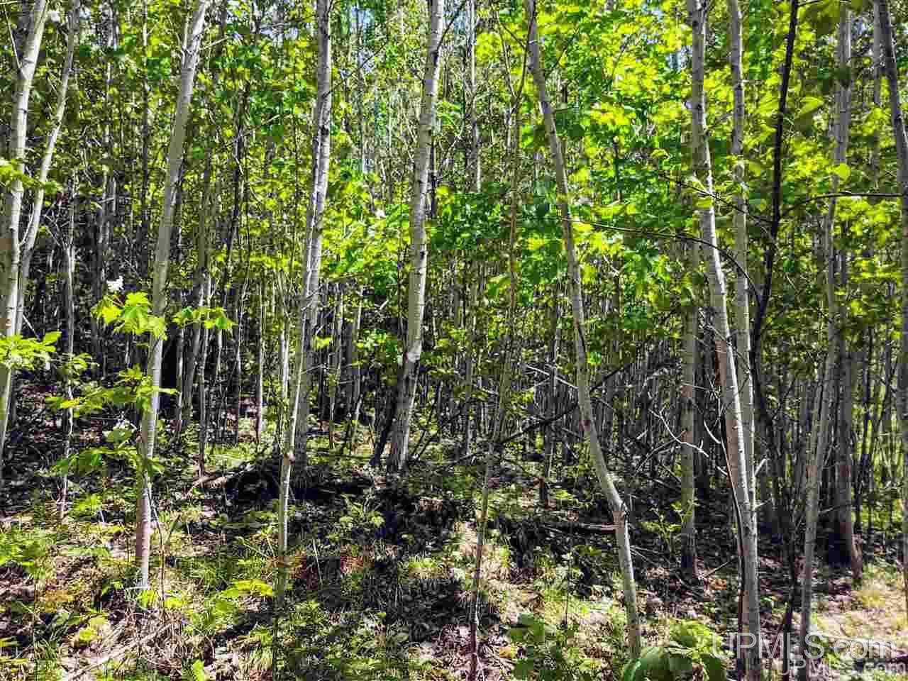 Tbd Co Rd Fp Republic, MI 49879 - Photo 22 of 33
