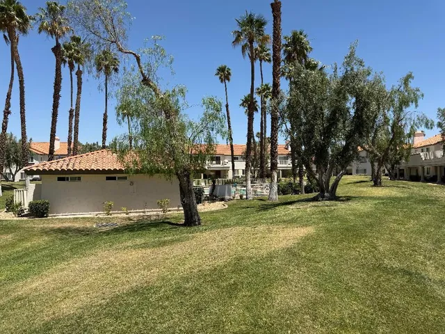 a view of a yard with palm trees