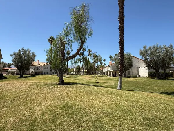 a view of a park with palm trees