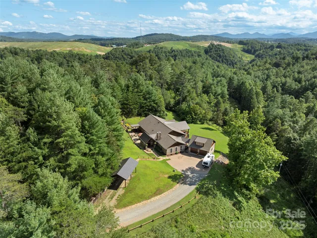 a view of backyard with small cabin
