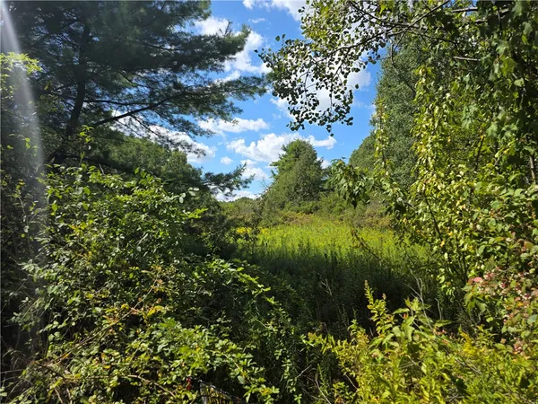 $225,000 | Frog Hollow Road, Painted Post, NY 14870