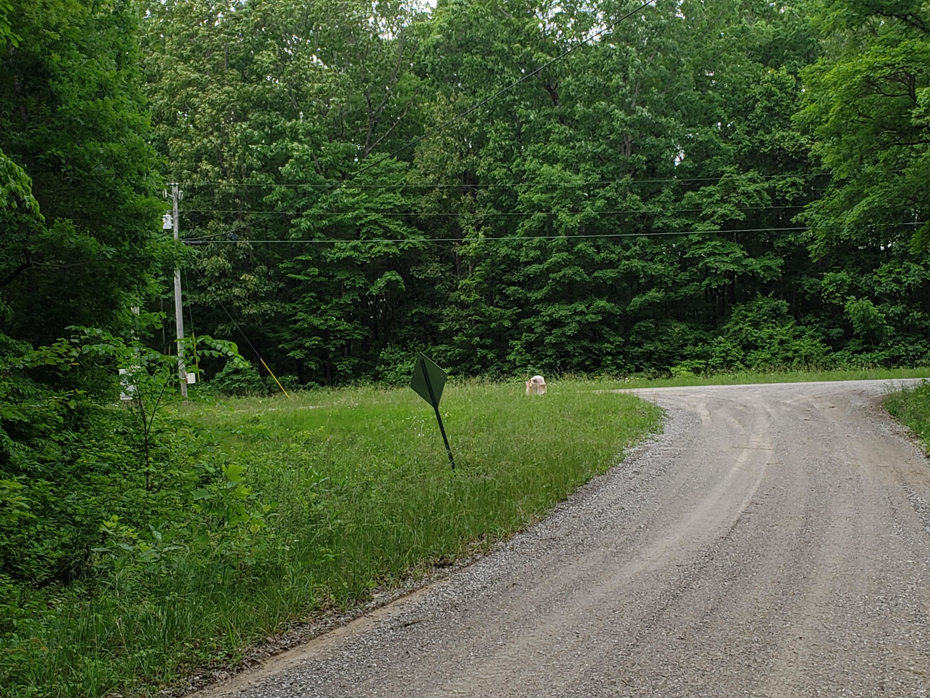 Lot 351 Valley View Road Crossville, TN 38572 - Photo 11 of 12 20220526_154710