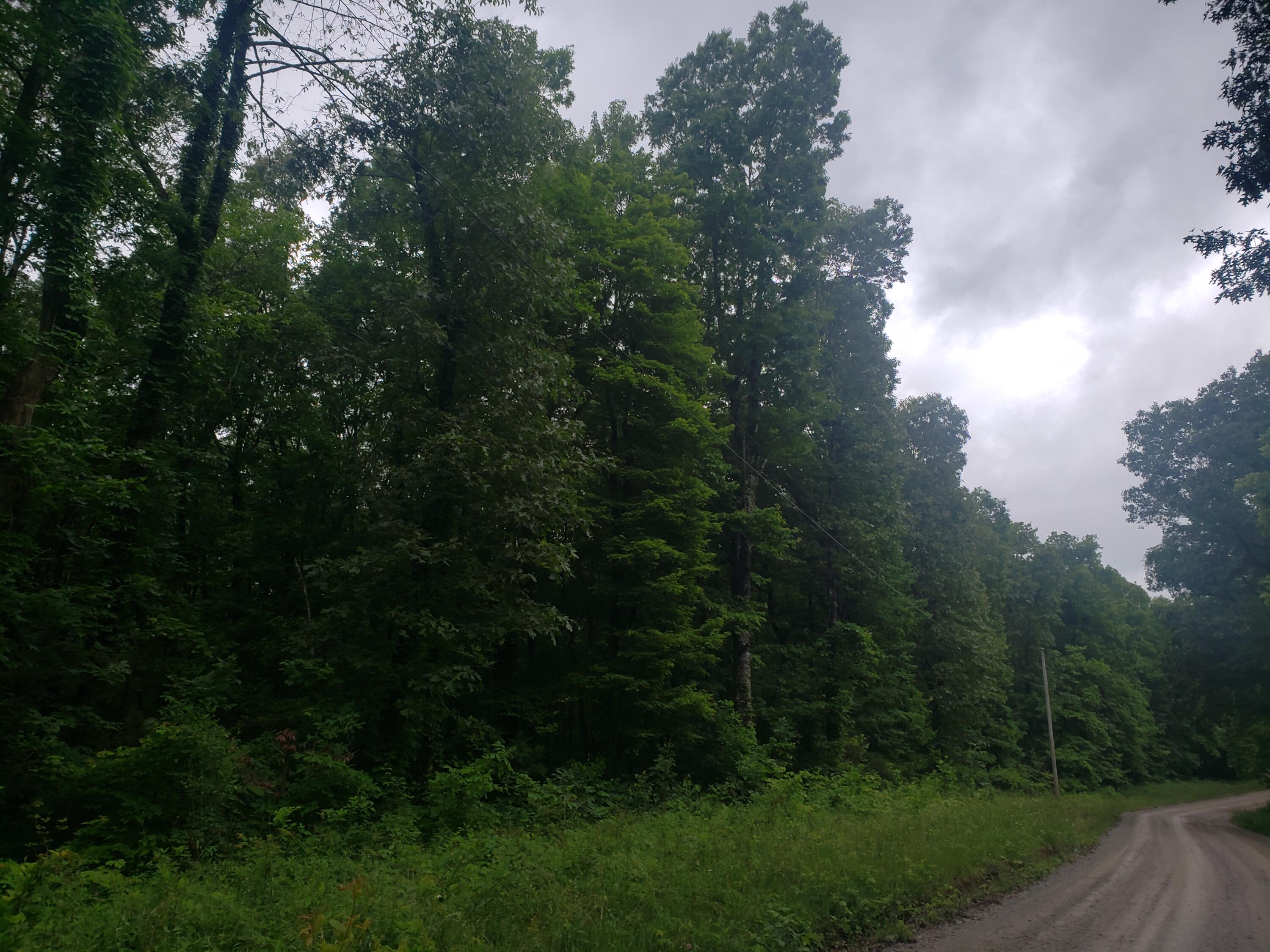 Lot 351 Valley View Road Crossville, TN 38572 - Photo 6 of 12 20220526_152113