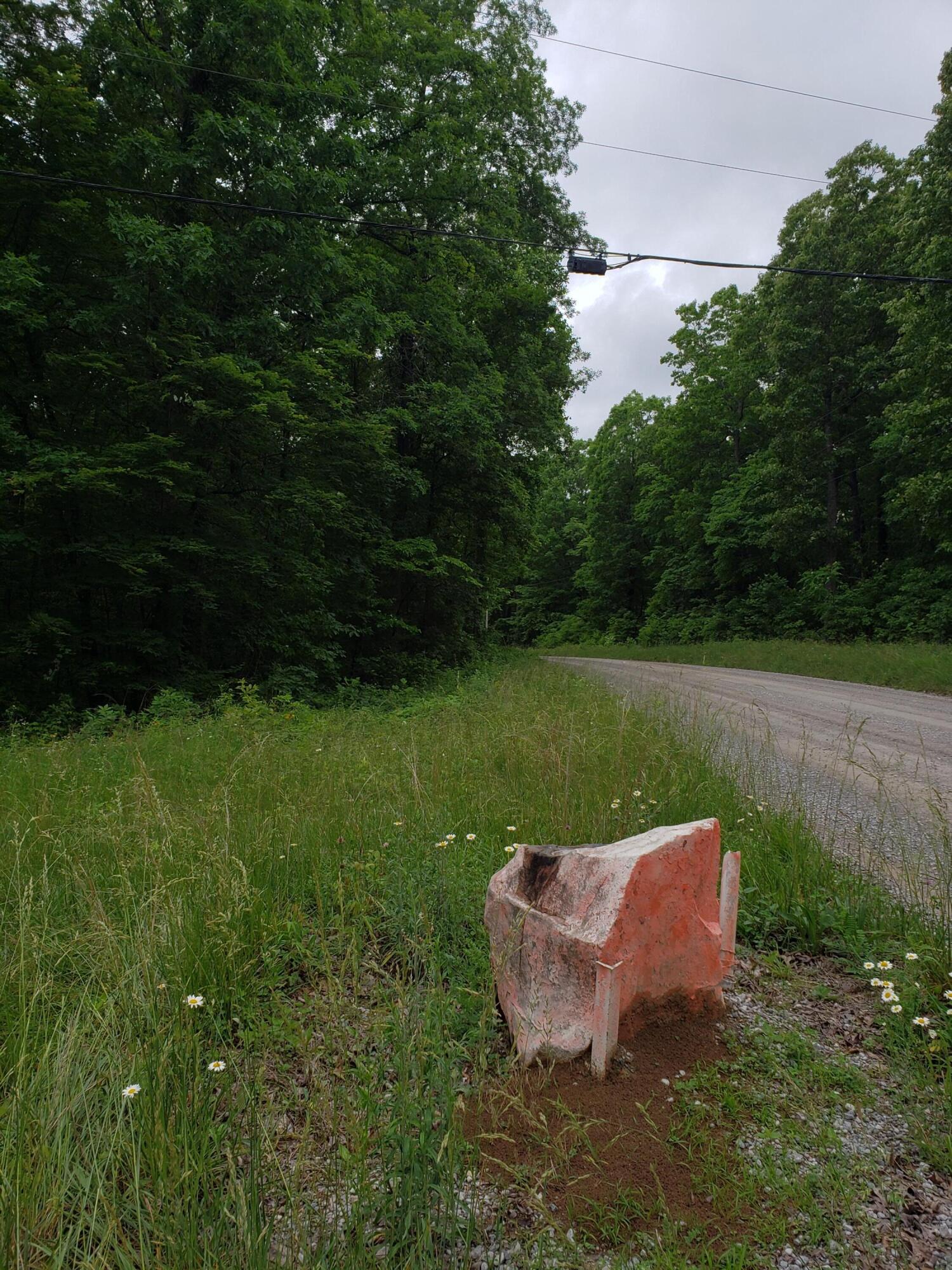 Lot 351 Valley View Road Crossville, TN 38572 - Photo 9 of 12 20220526_152951