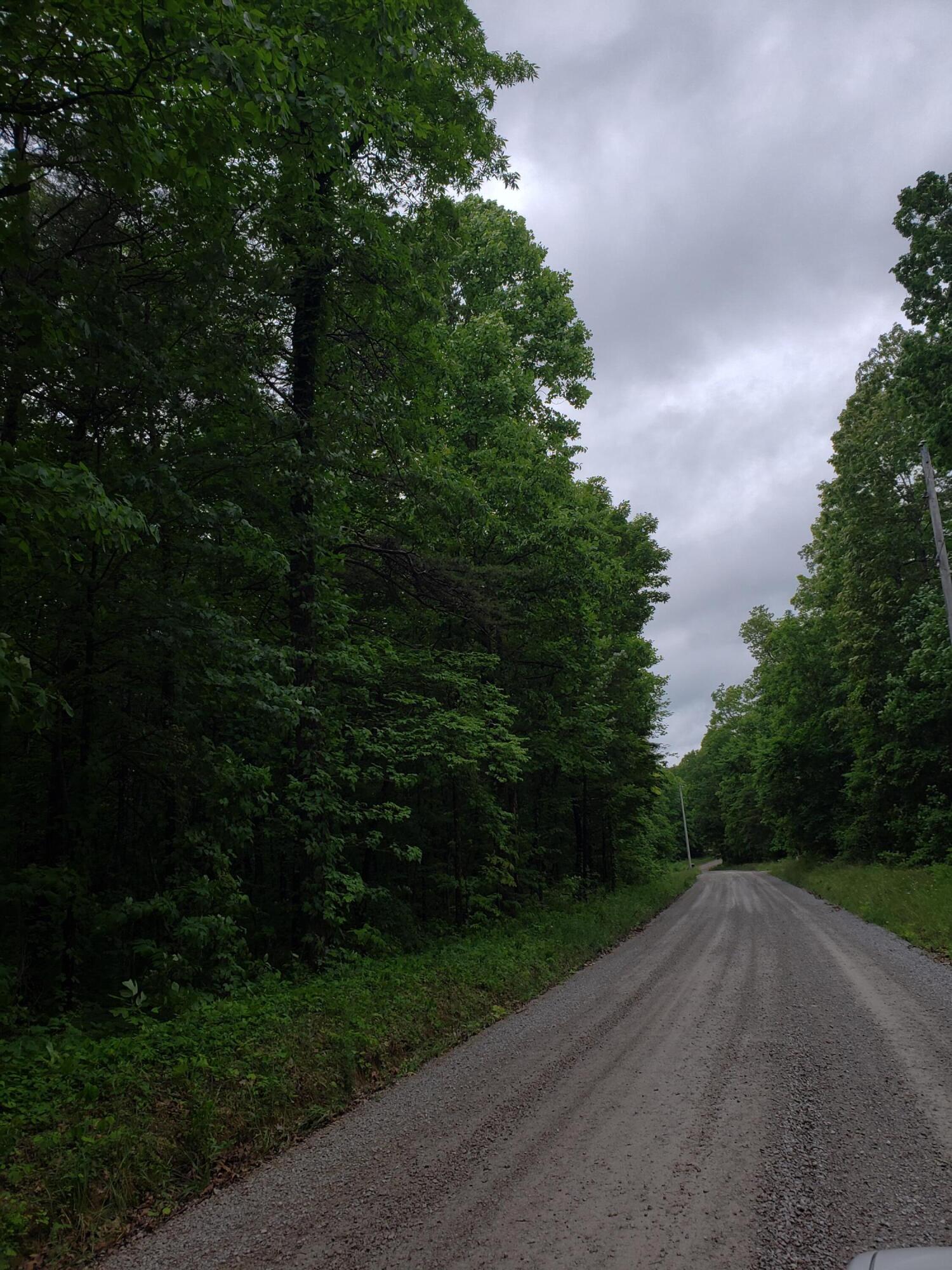Lot 351 Valley View Road Crossville, TN 38572 - Photo 10 of 12 20220526_153044