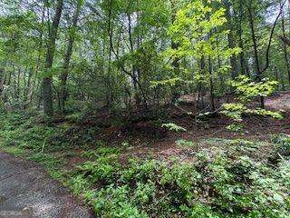 0 Ts Jarrard Road, Unit 192 Dahlonega, GA 30533 - Photo 2 of 9 a view of a forest with trees in the background