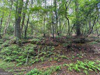 0 Ts Jarrard Road, Unit 192 Dahlonega, GA 30533 - Photo 3 of 9 a view of a lush green forest