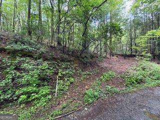 0 Ts Jarrard Road, Unit 192 Dahlonega, GA 30533 - Photo 5 of 9 a view of a yard with plants and trees
