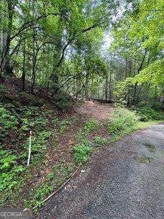 0 Ts Jarrard Road, Unit 192 Dahlonega, GA 30533 - Photo 7 of 9 a big yard with lots of green space and deers