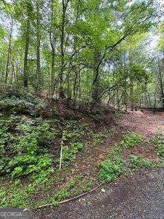 0 Ts Jarrard Road, Unit 192 Dahlonega, GA 30533 - Photo 8 of 9 a big yard with lots of green space and deers