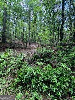0 Ts Jarrard Road, Unit 192 Dahlonega, GA 30533 - Photo 9 of 9 a view of a forest with trees