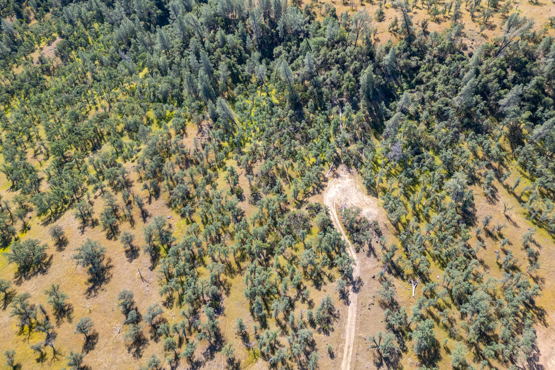 0 Racoon Way Oak Run, CA 96069 - Photo 31 of 39 DJI_0653-HDR