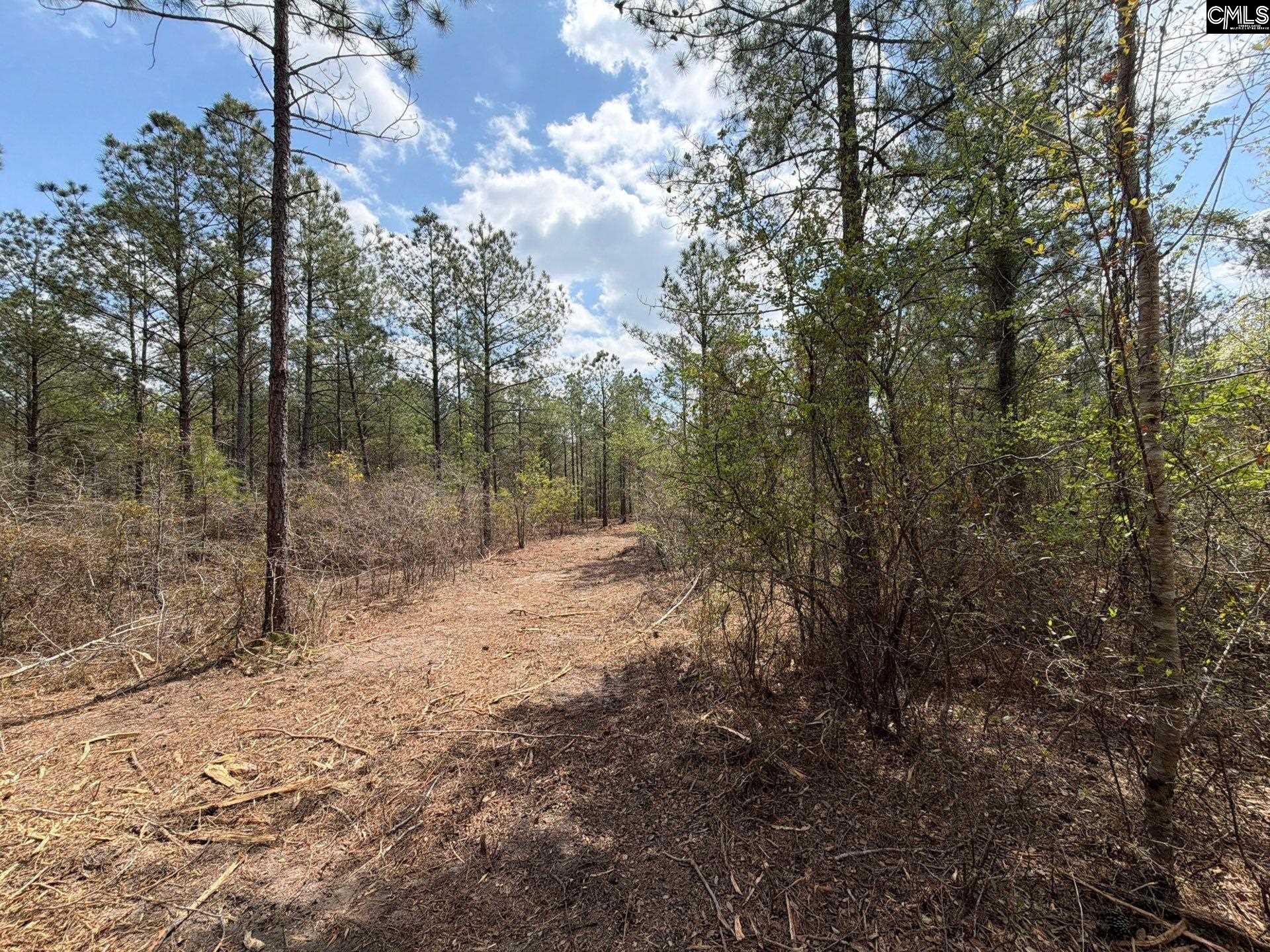4 Mt Calvary Rd Ridge Spring Ridge Spring, SC 29129 - Photo 34 of 40