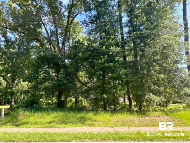 0 Harnora Drive Daphne, AL 36526 - Photo 3 of 17 Frontage on Johnson Rd.