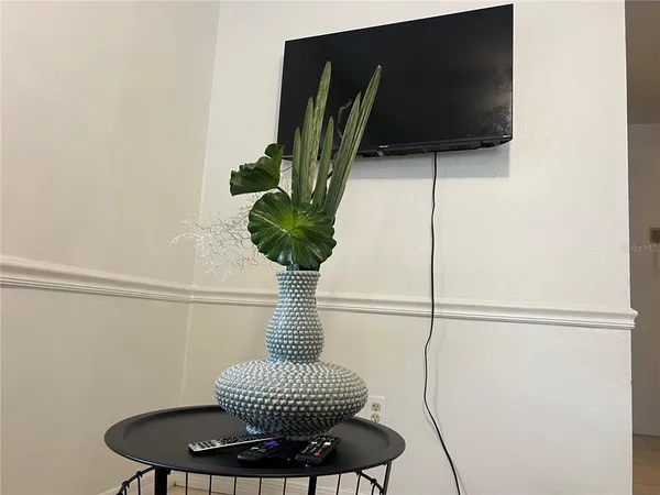 a living room with furniture and a potted plant
