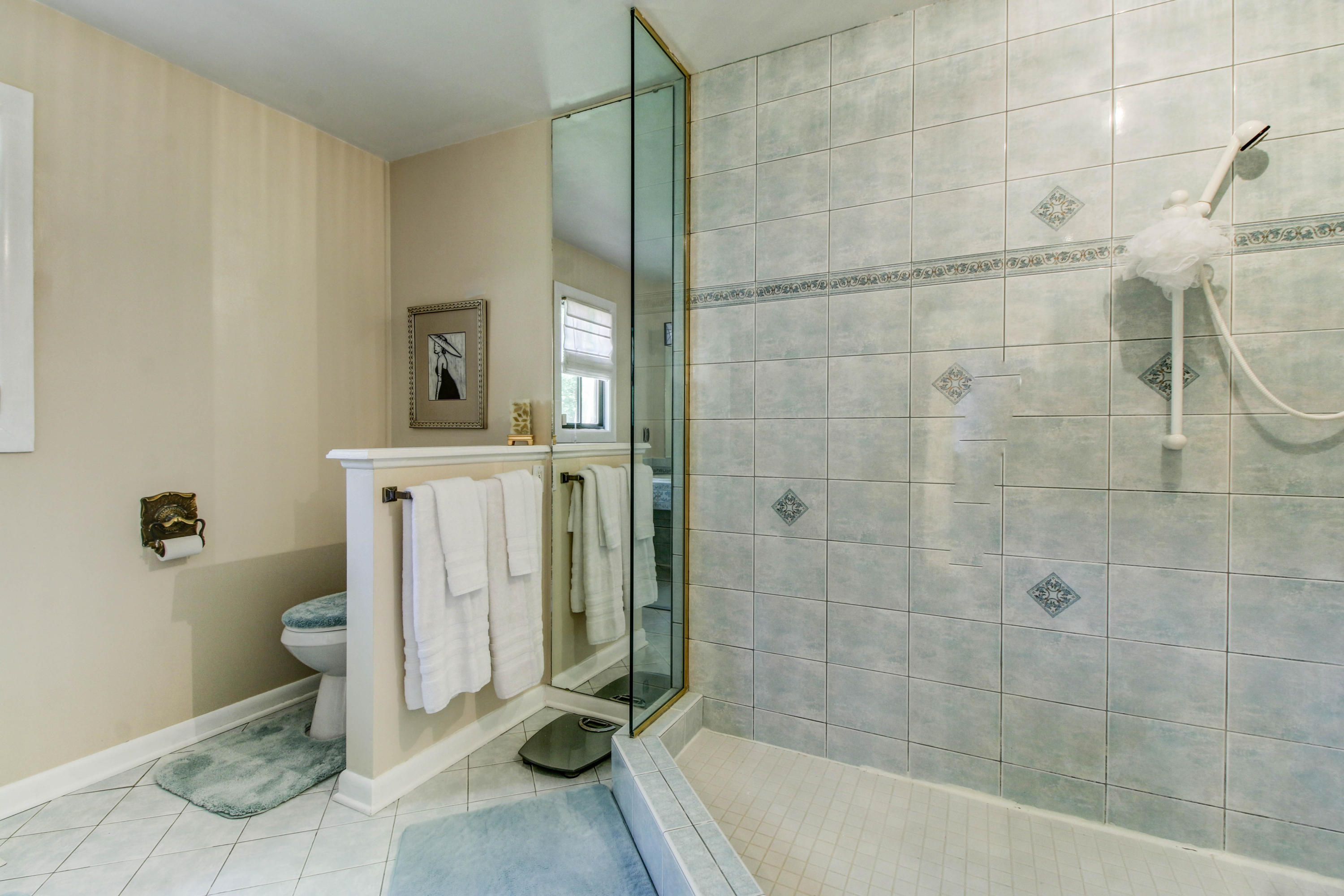 16 Stonehaven Lane Blue Ridge, VA 24064 - Photo 32 of 46 a bathroom with a sink a toilet and shower