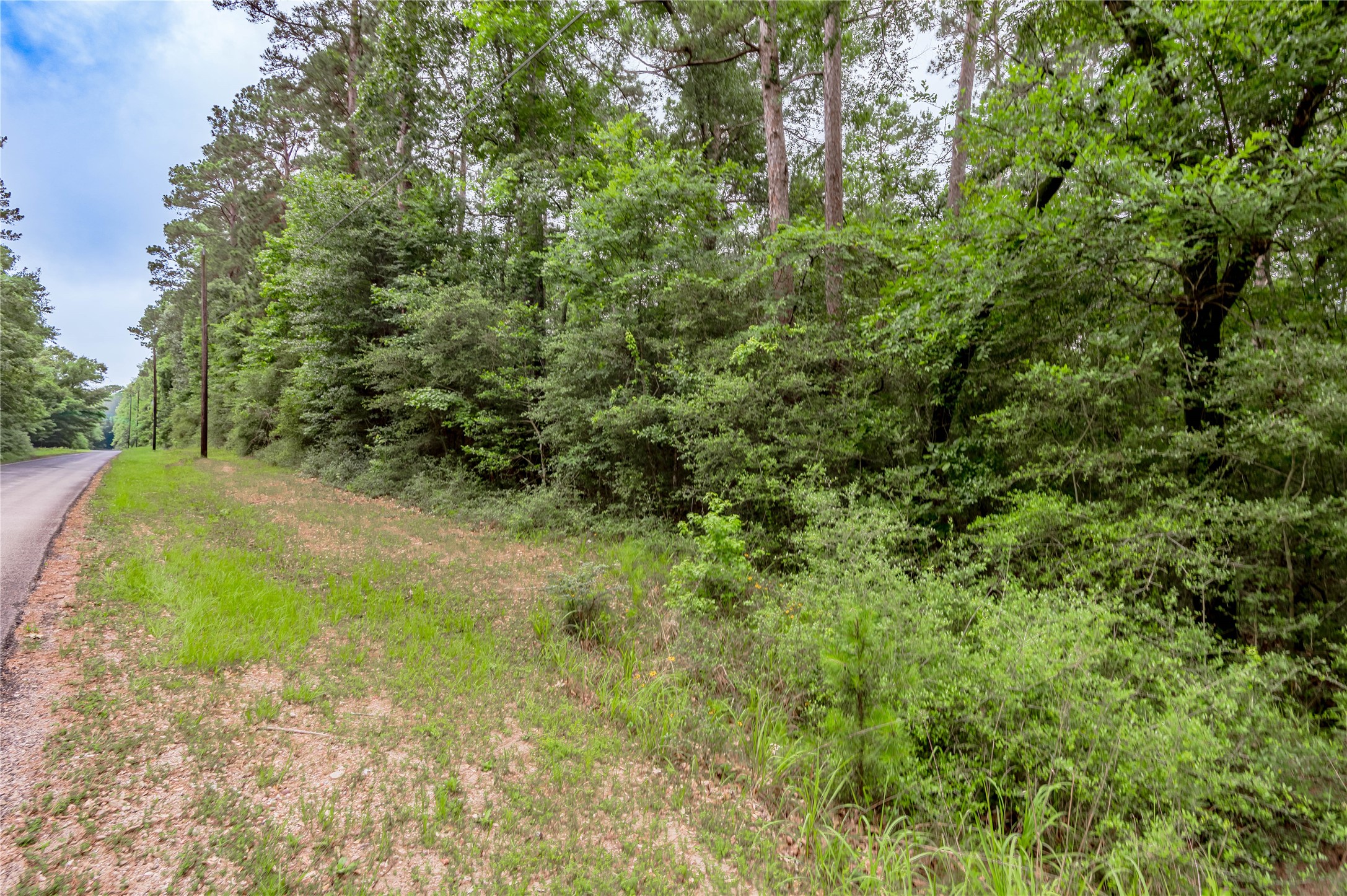 Lot 08 Oak Drive Trinity, TX 75862 - Photo 8 of 32