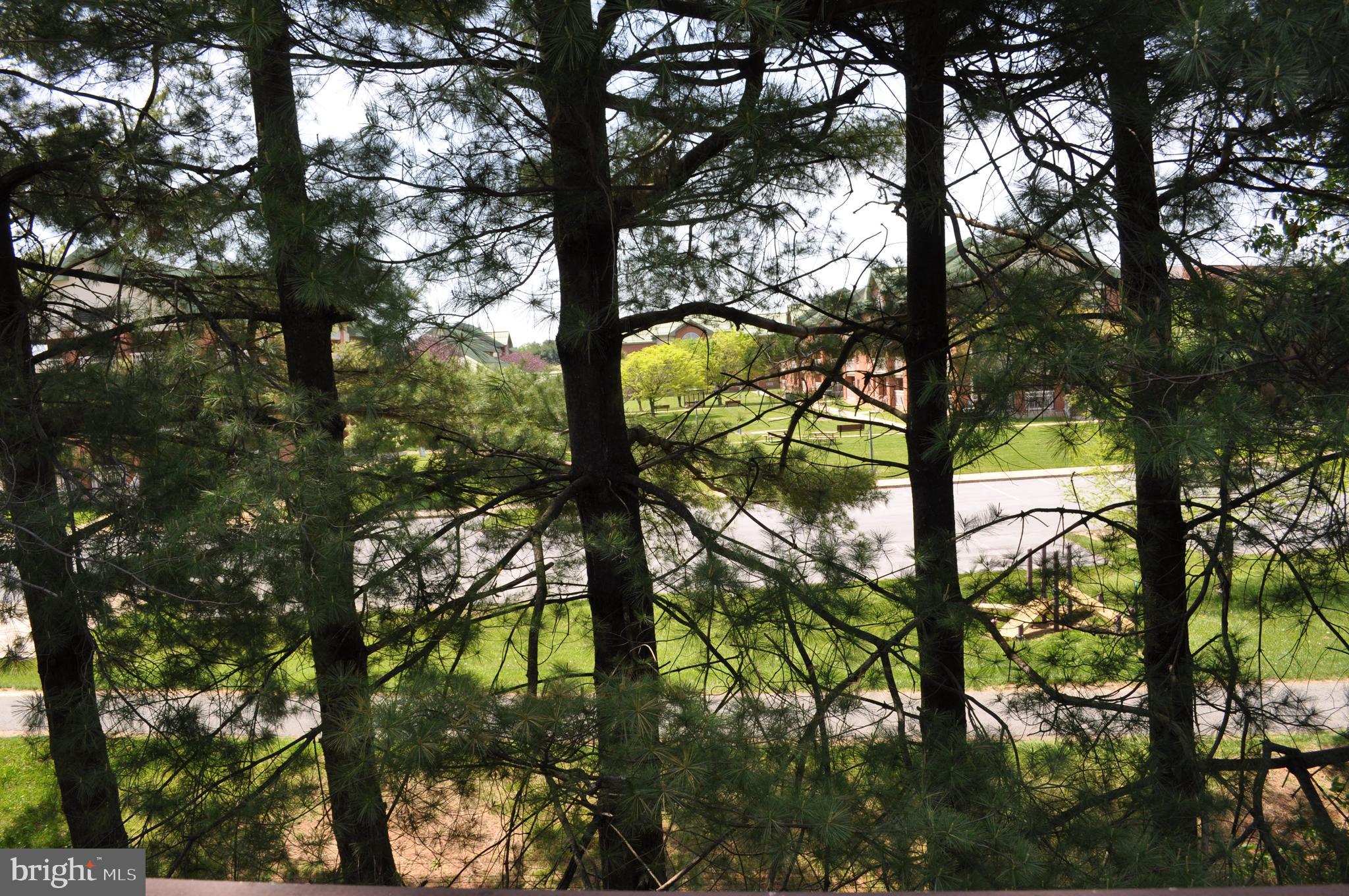 650 Heather Ridge Drive, Unit 12L Frederick, MD 21702 - Photo 19 of 20 a view of tree