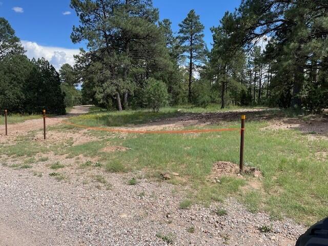 263 South Forest Road Southwest Mountainair, NM 87036 - Photo 1 of 1 Gallery Image 1