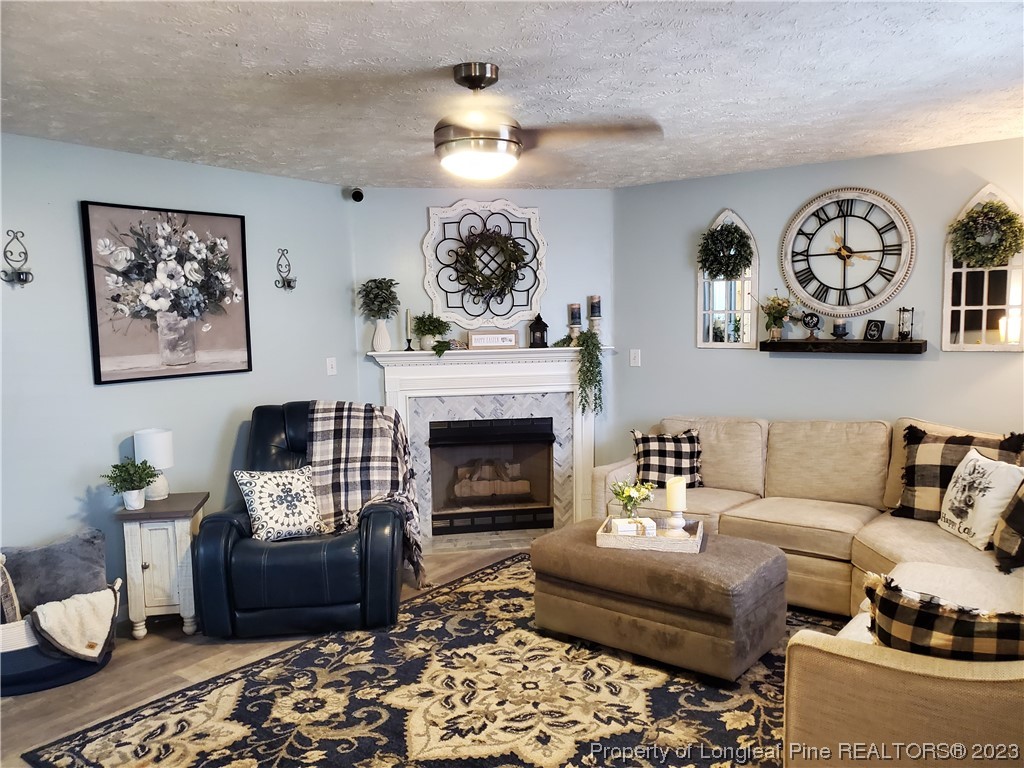 563 Sawyer Road Cameron, NC 28326 - Photo 41 of 43 a living room with furniture and a fireplace