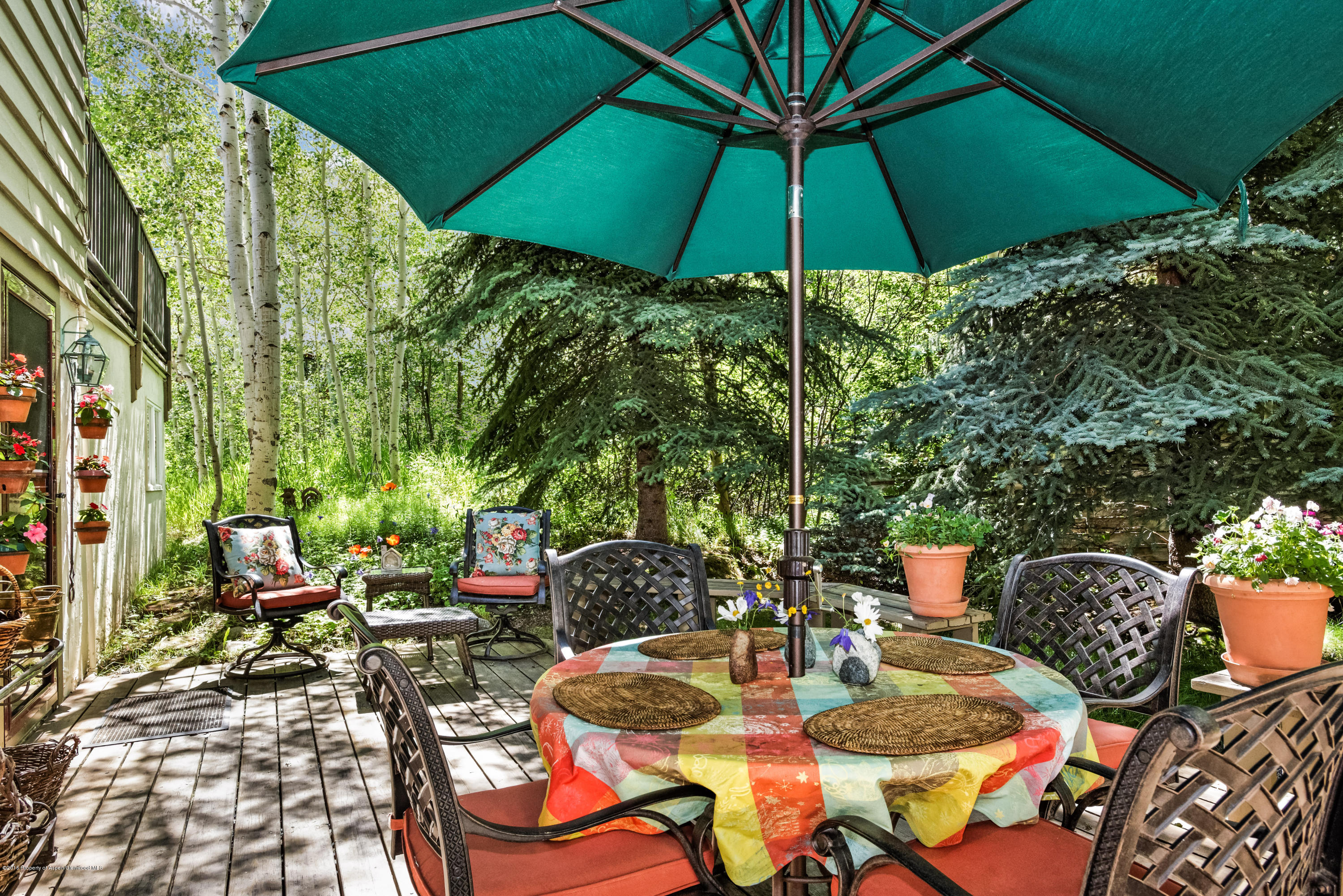 1300 Riverside Drive Aspen, CO 81611 - Photo 21 of 24