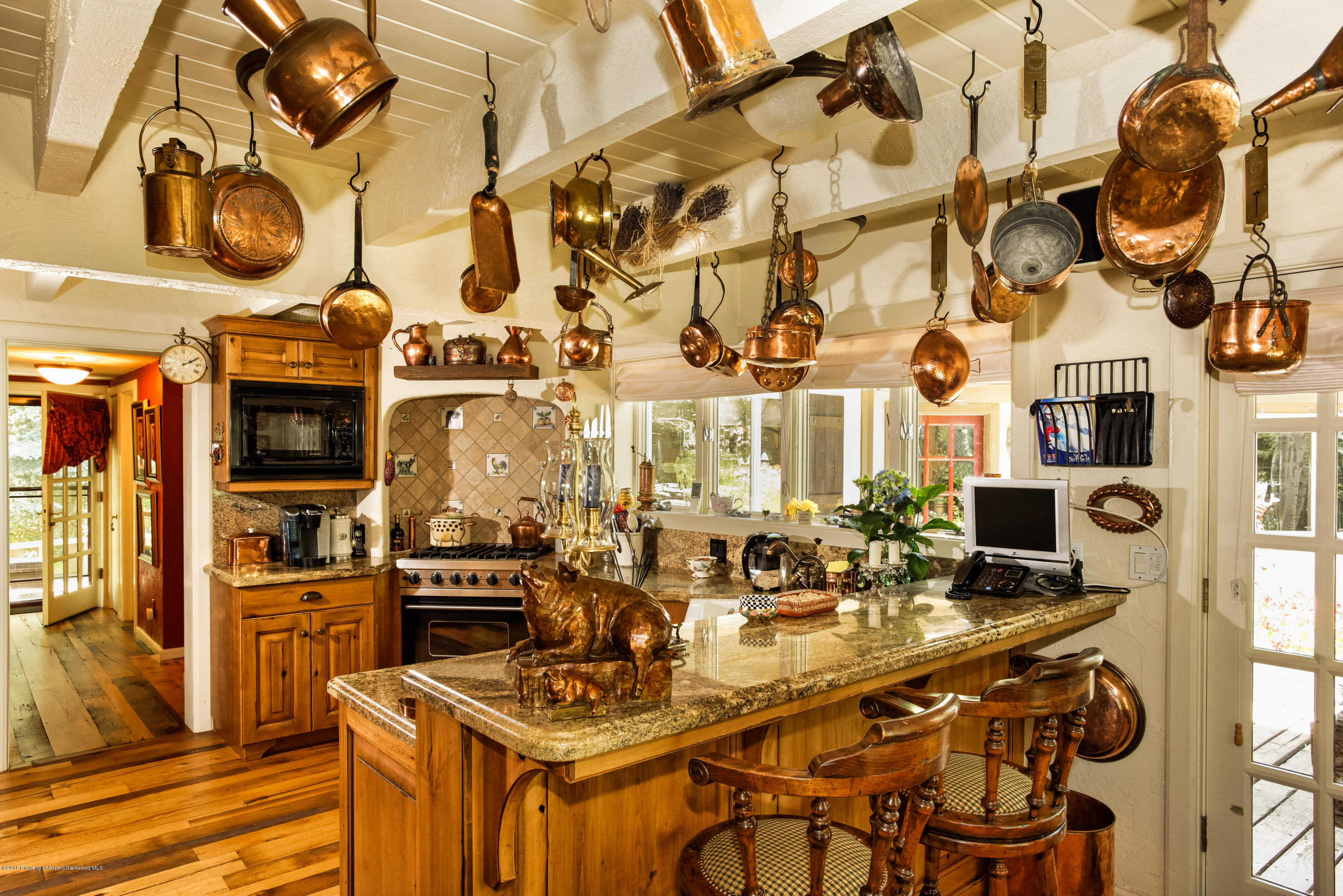 1300 Riverside Drive Aspen, CO 81611 - Photo 6 of 24 a view of city