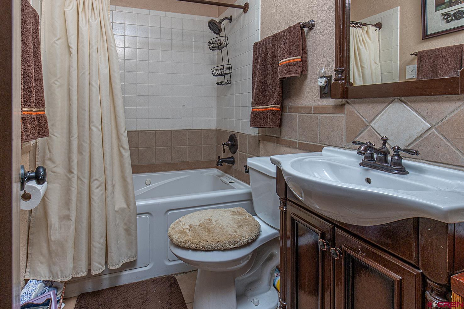 904 Florida Road Durango, CO 81301 - Photo 14 of 20 a bathroom with a sink toilet and shower