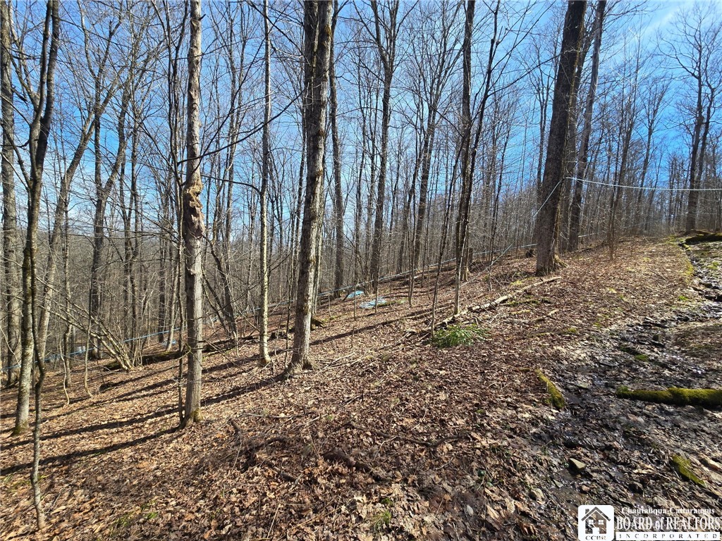 0 West Cobb Road Falconer, NY 14733 - Photo 5 of 49