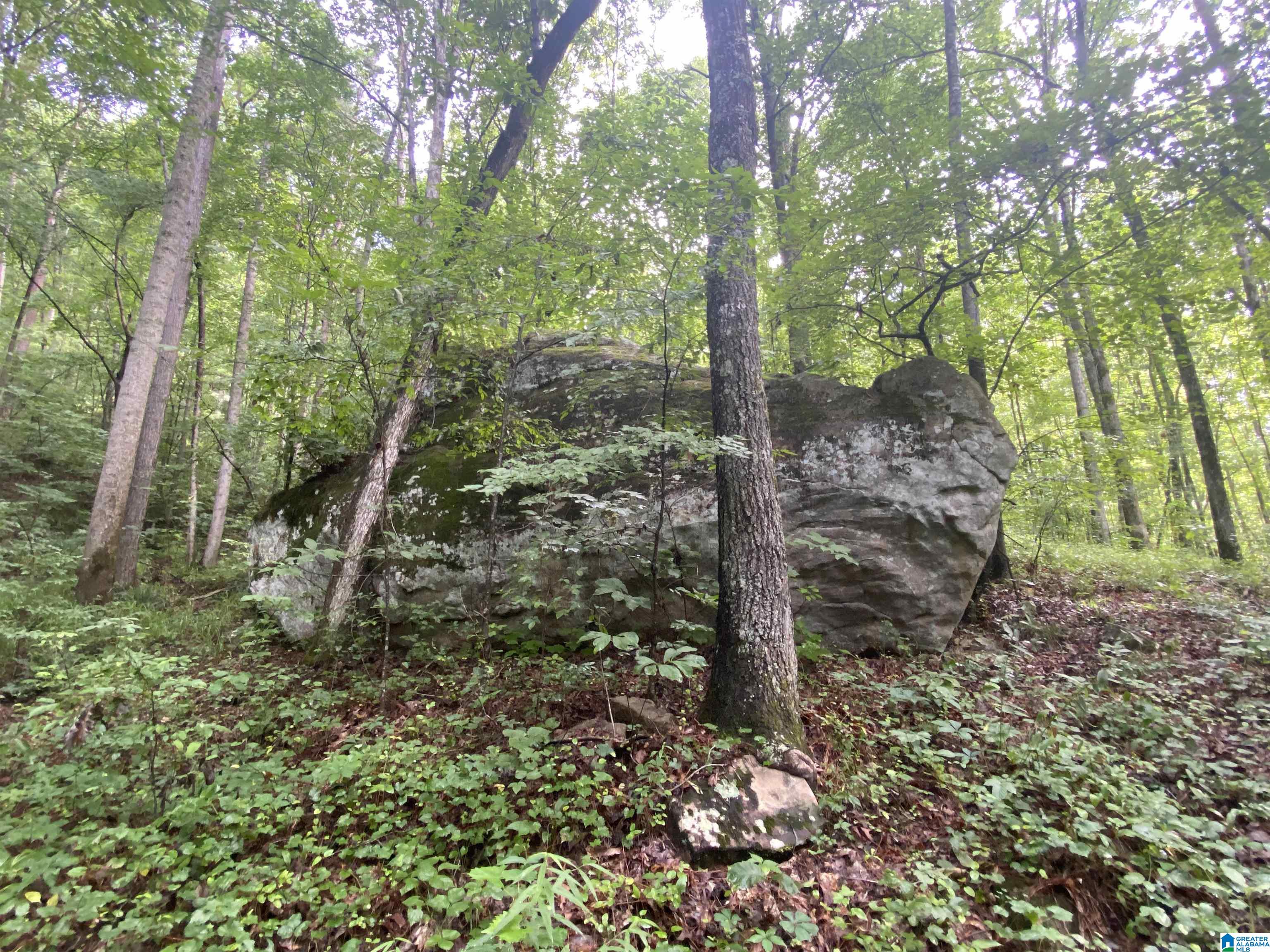 Bull Hollow Road, Unit 60 Odenville, AL 35120 - Photo 17 of 25