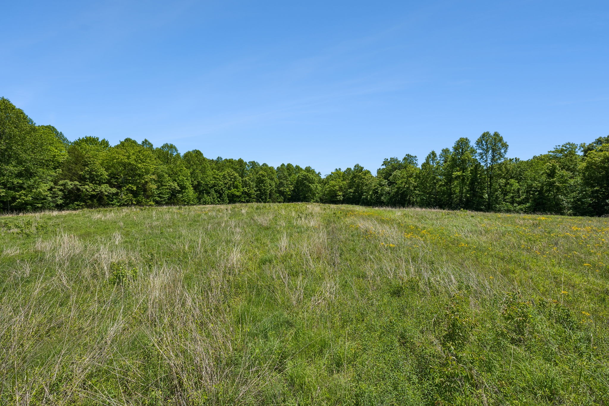 655 Burton Ridge Road Silver Point, TN 38582 - Photo 34 of 64