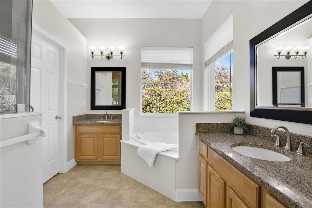 357 Kirkhill Street Ocoee, FL 34761 - Photo 16 of 36 a bathroom with a granite countertop tub sink and mirror