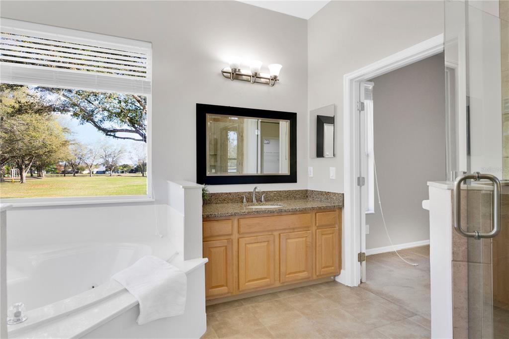 357 Kirkhill Street Ocoee, FL 34761 - Photo 17 of 36 a bathroom with a granite countertop sink a mirror and a bathtub